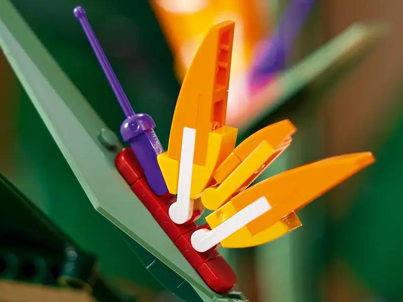 10289 Bird of Paradise TOYS by LEGO at Sundora