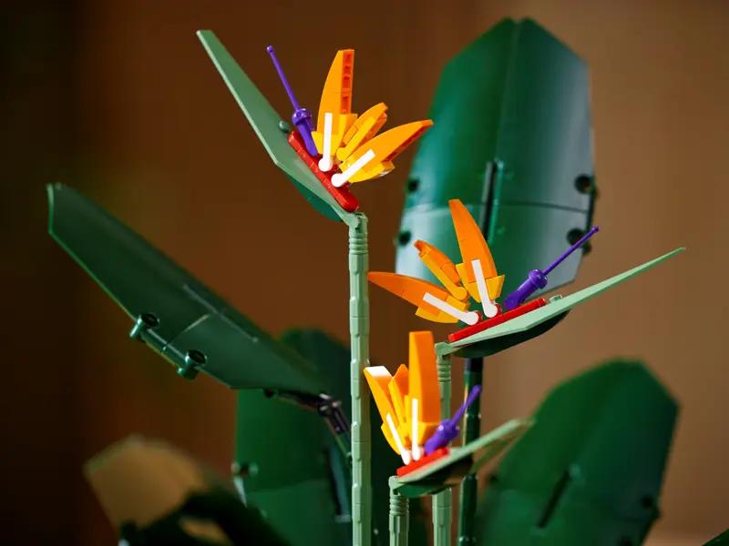 10289 Bird of Paradise TOYS by LEGO at Sundora