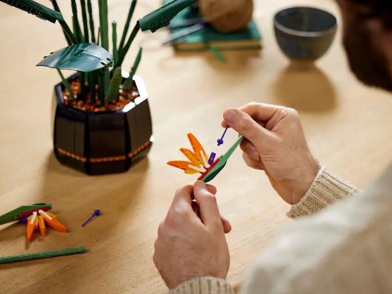 10289 Bird of Paradise TOYS by LEGO at Sundora