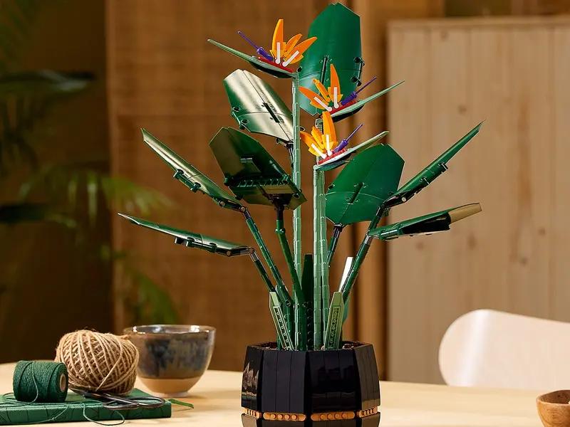 10289 Bird of Paradise TOYS by LEGO at Sundora