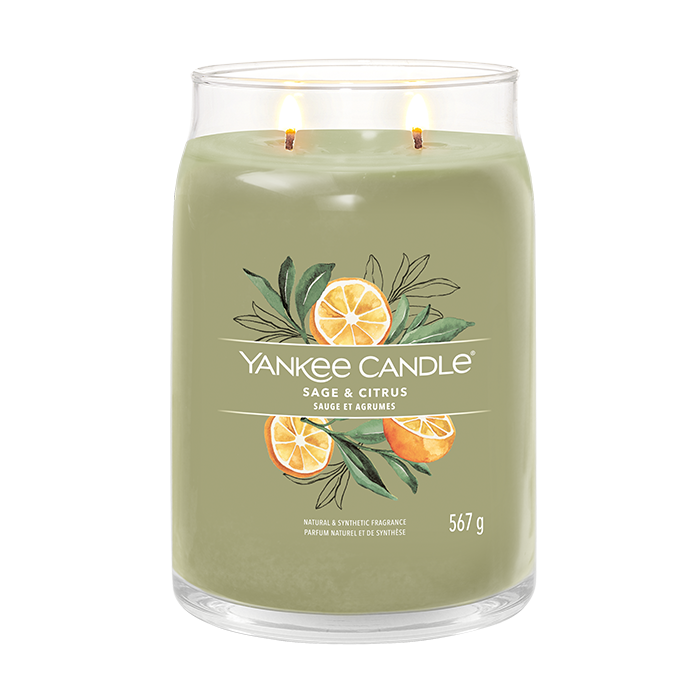 SAGE & CITRUS SIGNATURE JAR CANDLE by YANKEE CANDLE at Sundora