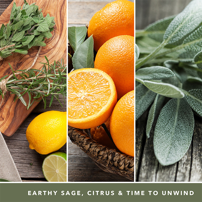 SAGE & CITRUS SIGNATURE JAR CANDLE by YANKEE CANDLE at Sundora