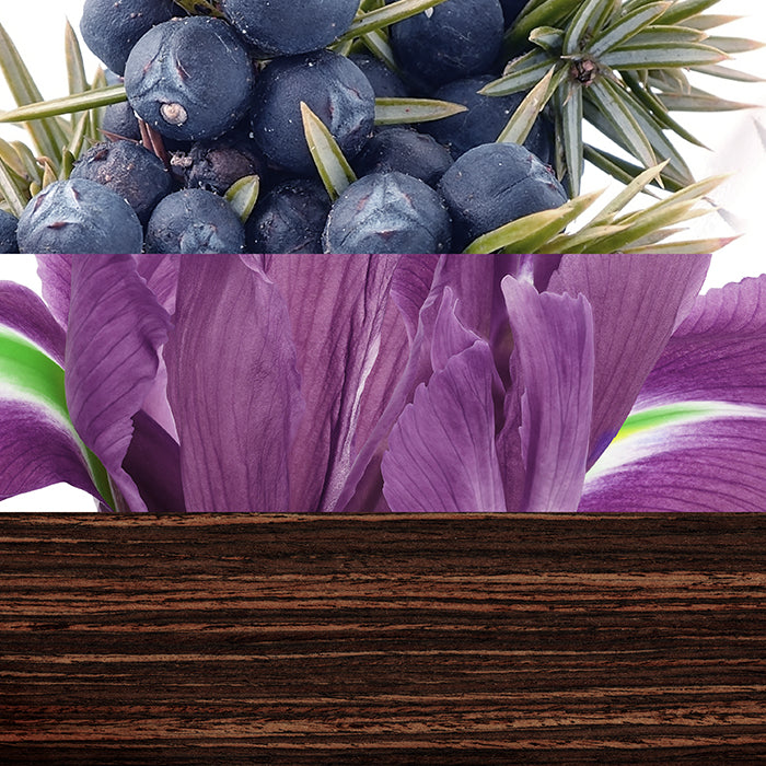 THE GAME FOR MEN EDT PERFUME by DAVIDOFF at Sundora