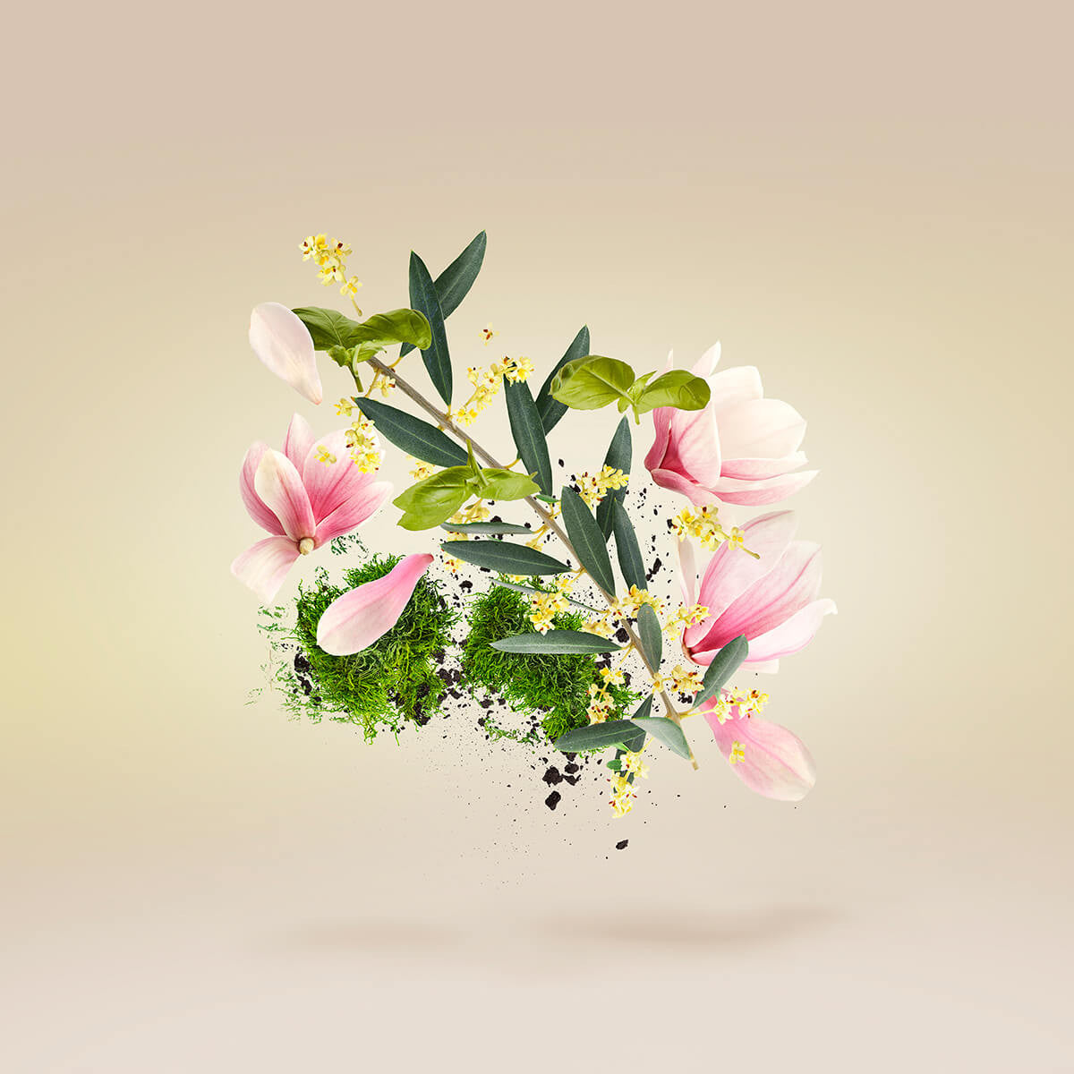 FIORE D’ULIVO PERFUME by CASAMORATI at Sundora