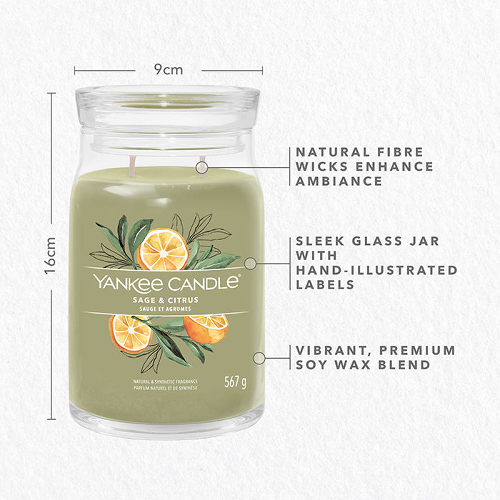 SAGE & CITRUS SIGNATURE JAR CANDLE by YANKEE CANDLE at Sundora