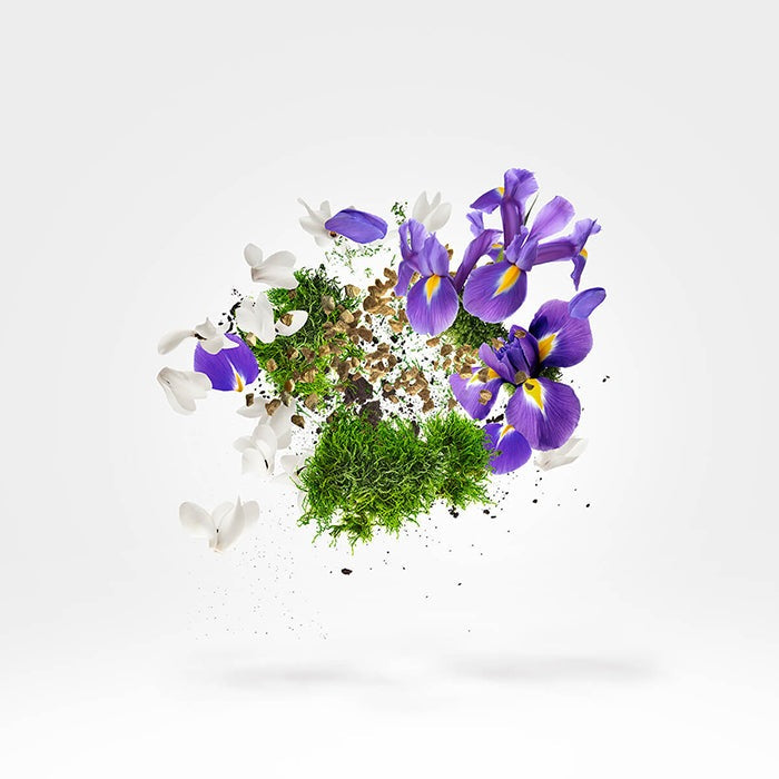 AMBER STAR & STAR MUSK GIFT SET by XERJOFF at Sundora