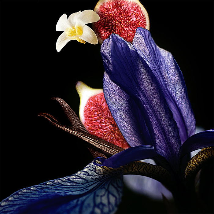 STAR EAU DE PARFUM PERFUME by MAUBOUSSIN at Sundora