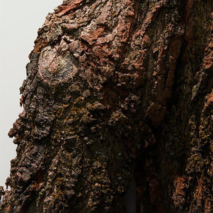 LIGHT BLUE EAU DE TOILETTE GIFT SET GIFT SET by DOLCE & GABBANA at Sundora