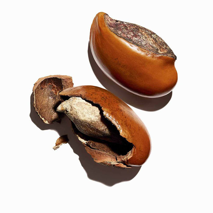 MOISTURE-RICH BODY LOTION FOR DRY SKIN SKINCARE by CLARINS at Sundora