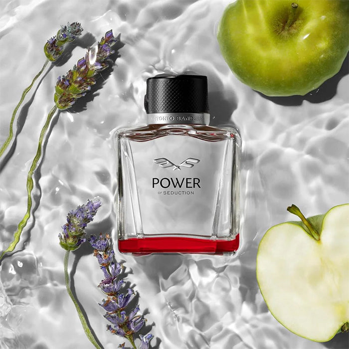 POWER OF SEDUCTION FOR MEN EDT PERFUME by BANDERAS at Sundora