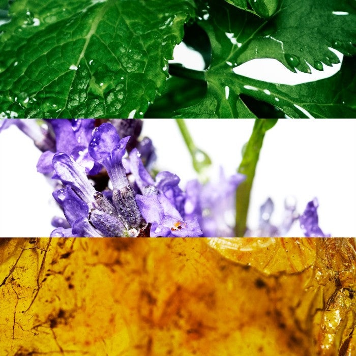 COOL WATER DEODORANT SPRAY DEODORANT by DAVIDOFF at Sundora