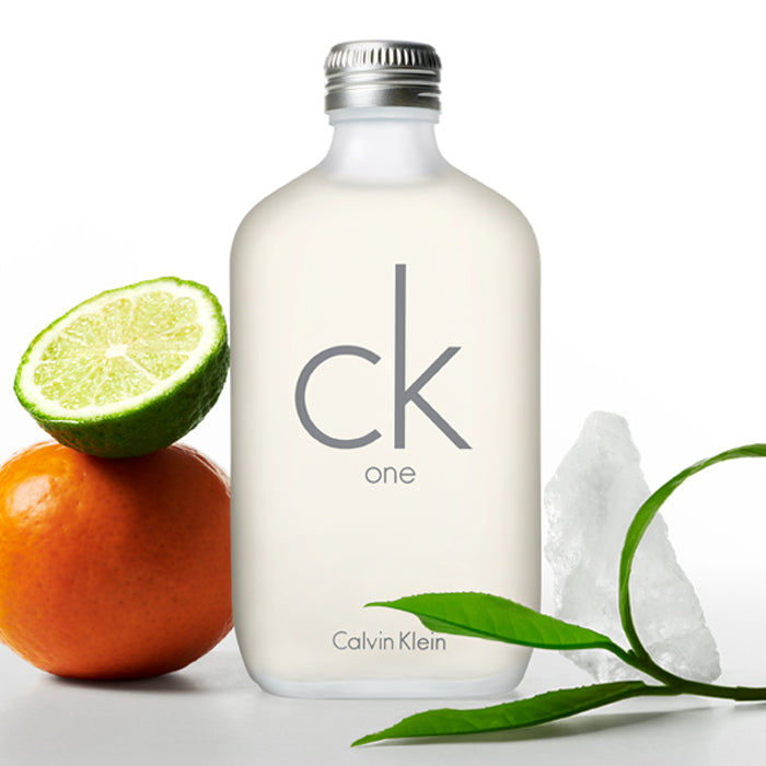 CK ONE EDT PERFUME by CALVIN KLEIN at Sundora