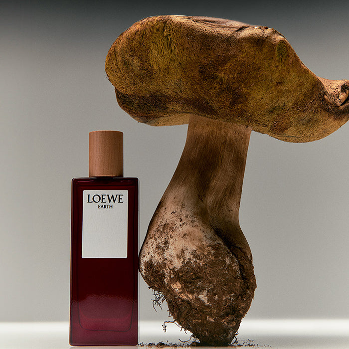 LOEWE EARTH EAU DE PARFUM PERFUME by LOEWE at Sundora