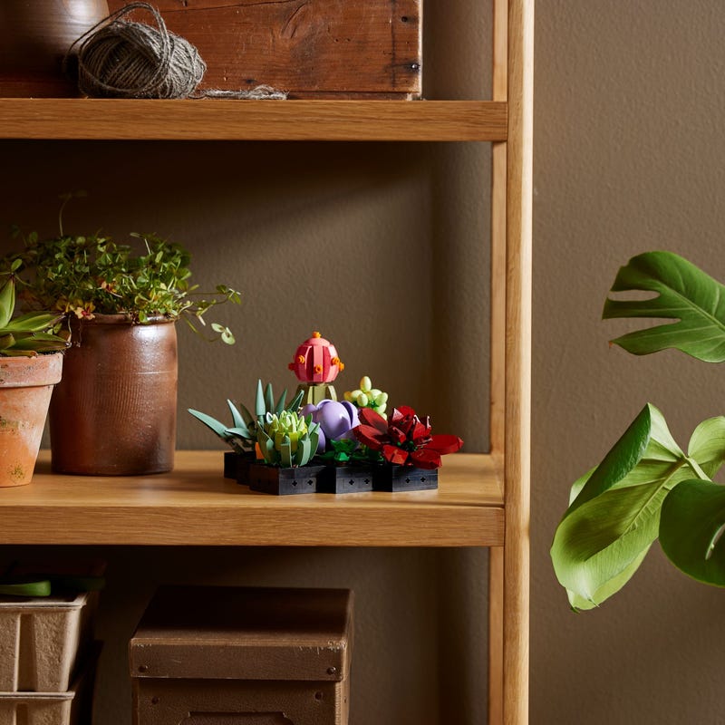 ১০৩০৯ সুকুলেন্টস