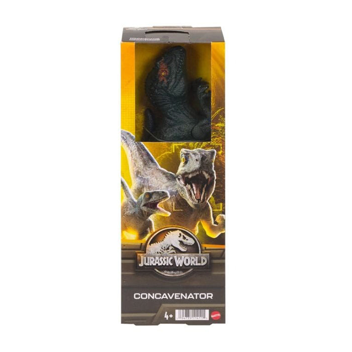 Jurassic World - Concavenator Basic 12" Action Figure DINOSAUR TOYS by JURASSIC WORLD at Sundora