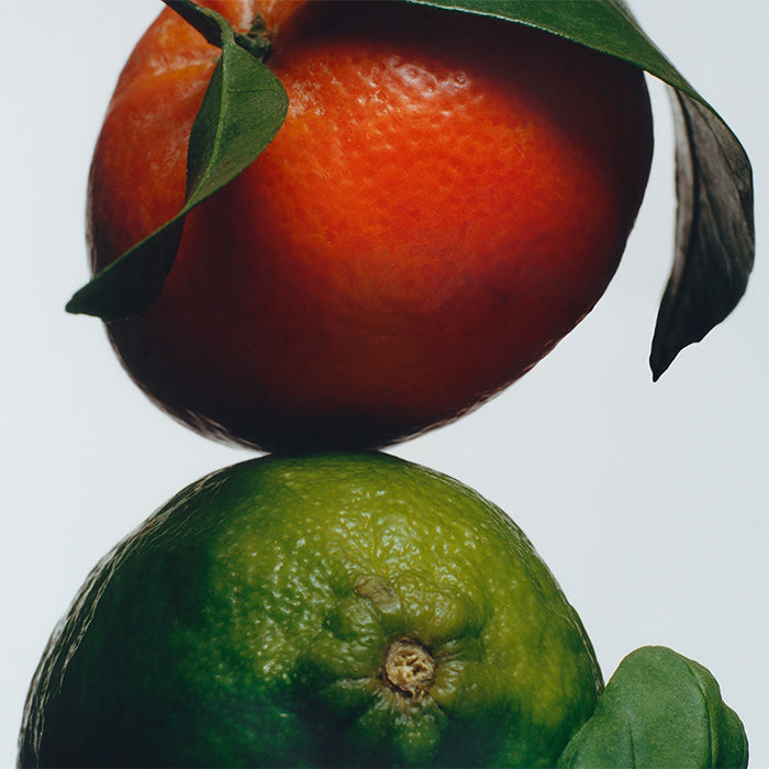 LIME BASIL & MANDARIN DIFFUSER DIFFUSER by JO MALONE at Sundora