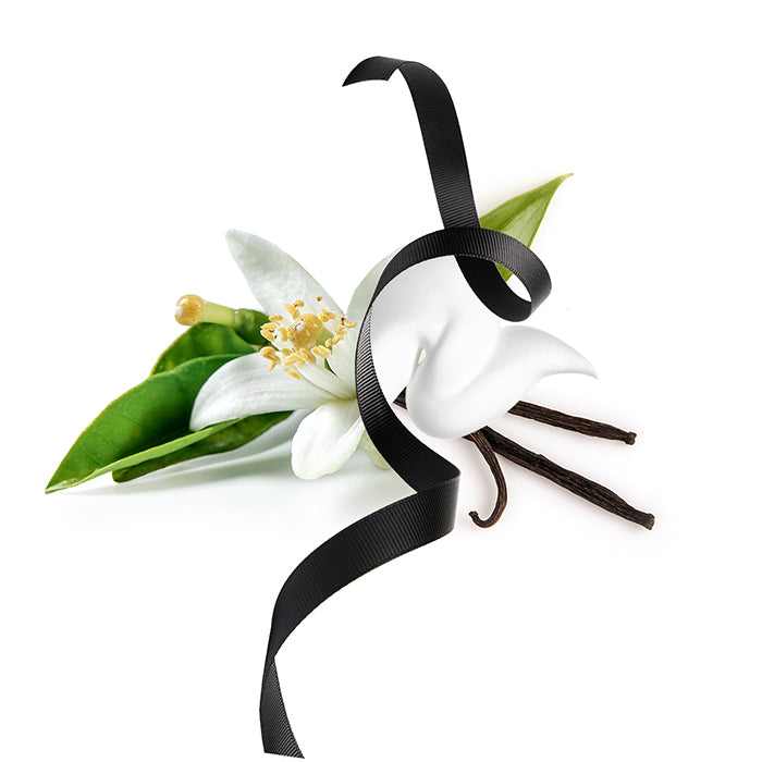 SIGNORINA MISTERIOSA EAU DE PARFUM PERFUME by SALVATORE FERRAGAMO at Sundora