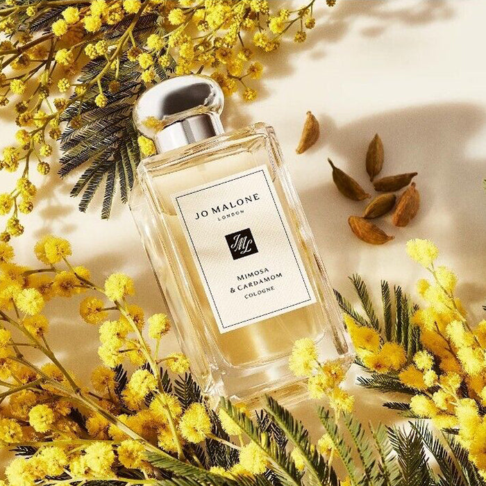 MIMOSA & CARDAMOM COLOGNE PERFUME by JO MALONE at Sundora
