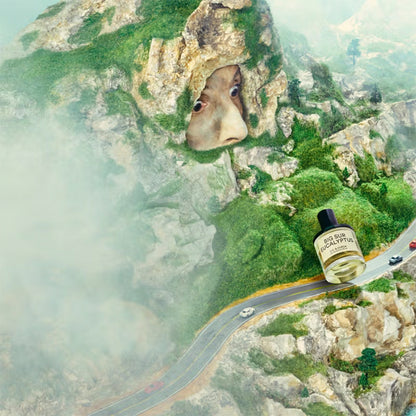 BIG SUR EUCALYPTUS PERFUME by D.S. &amp; DURGA at Sundora