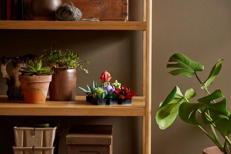 10309 Succulents TOYS by LEGO at Sundora