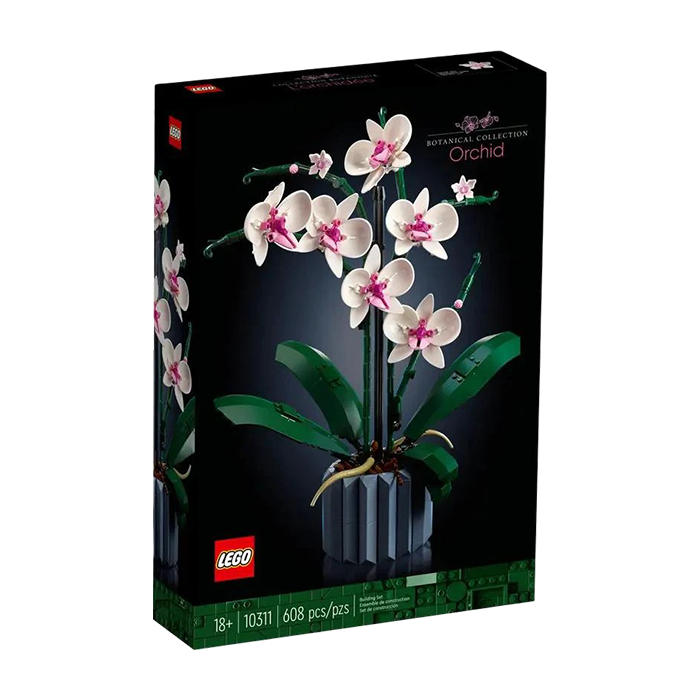 ১০৩১১ অর্কিড