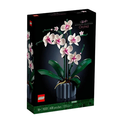 ১০৩১১ অর্কিড