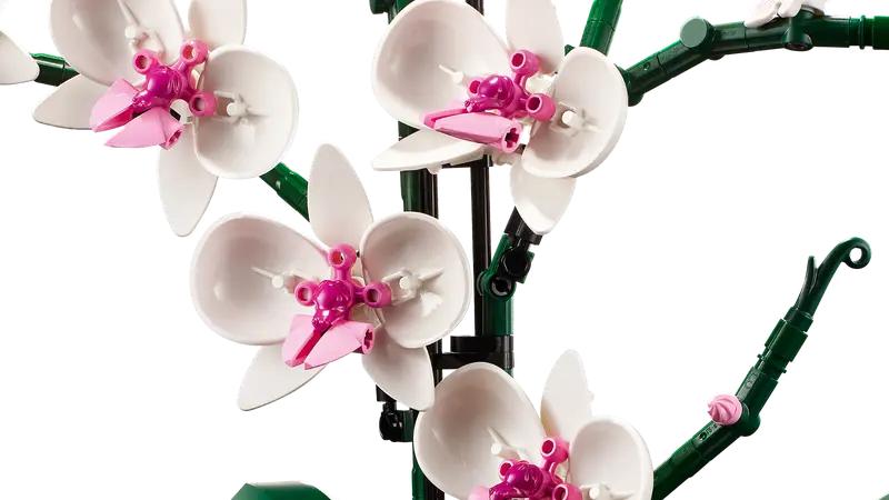10311 Orchid TOYS by LEGO at Sundora