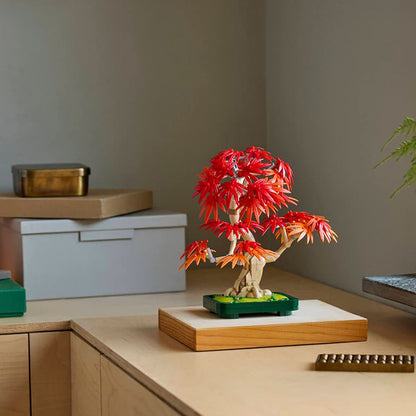 10348 Japanese Red Maple Bonsai Tree
