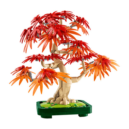 10348 Japanese Red Maple Bonsai Tree