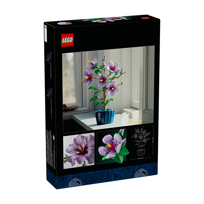 10372 Hibiscus