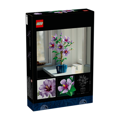10372 Hibiscus