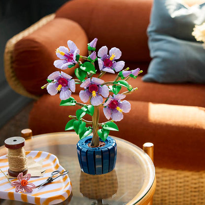 10372 Hibiscus