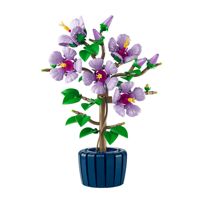10372 Hibiscus