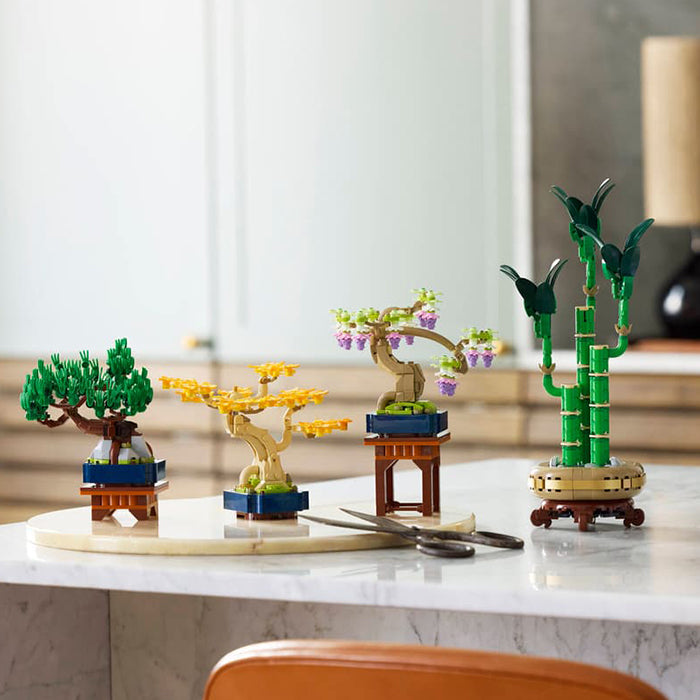 10373 Mini Bonsai Trees