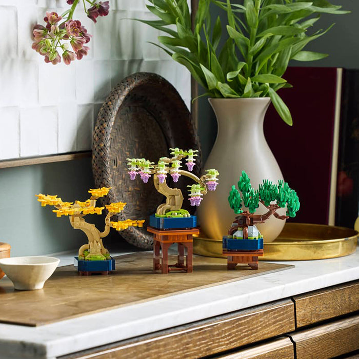 10373 Mini Bonsai Trees