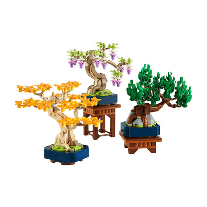 10373 Mini Bonsai Trees