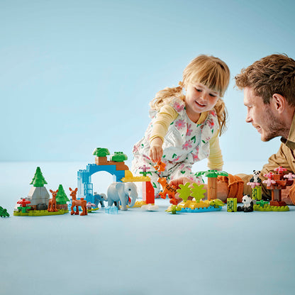 10446 3in1 Wild Animal Families