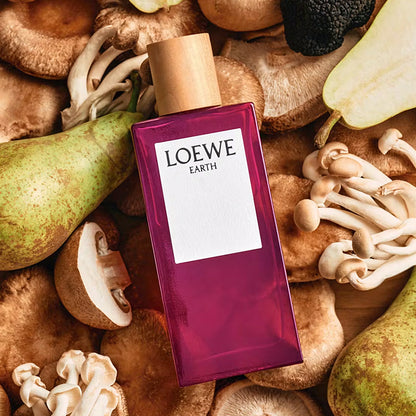 LOEWE EARTH EAU DE PARFUM PERFUME by LOEWE at Sundora