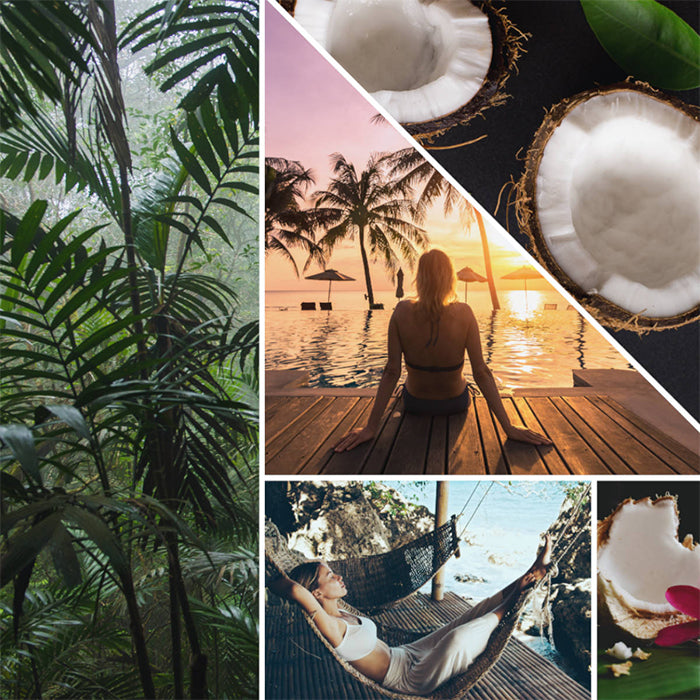 BLACK COCONUT SIGNATURE TUMBLER CANDLE CANDLE by YANKEE CANDLE at Sundora