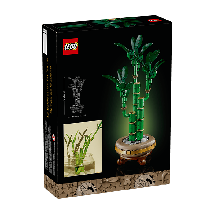 10344 Botanicals Lucky Bamboo
