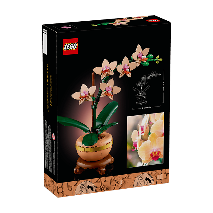 10343 Botanicals Mini Orchid