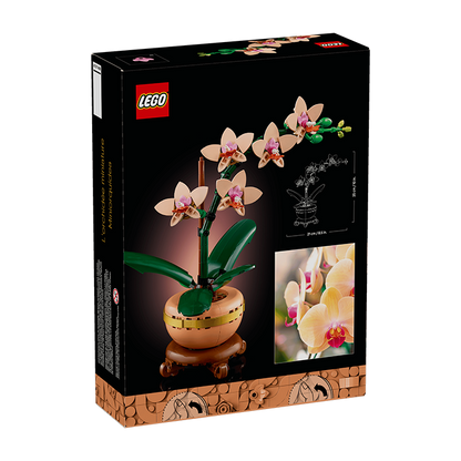 10343 Botanicals Mini Orchid