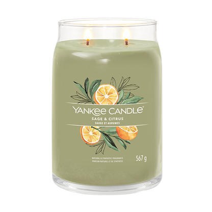 SAGE &amp; CITRUS SIGNATURE JAR CANDLE by YANKEE CANDLE at Sundora