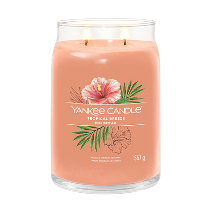 TROPICAL BREEZE SIGNATURE JAR CANDLE by YANKEE CANDLE at Sundora