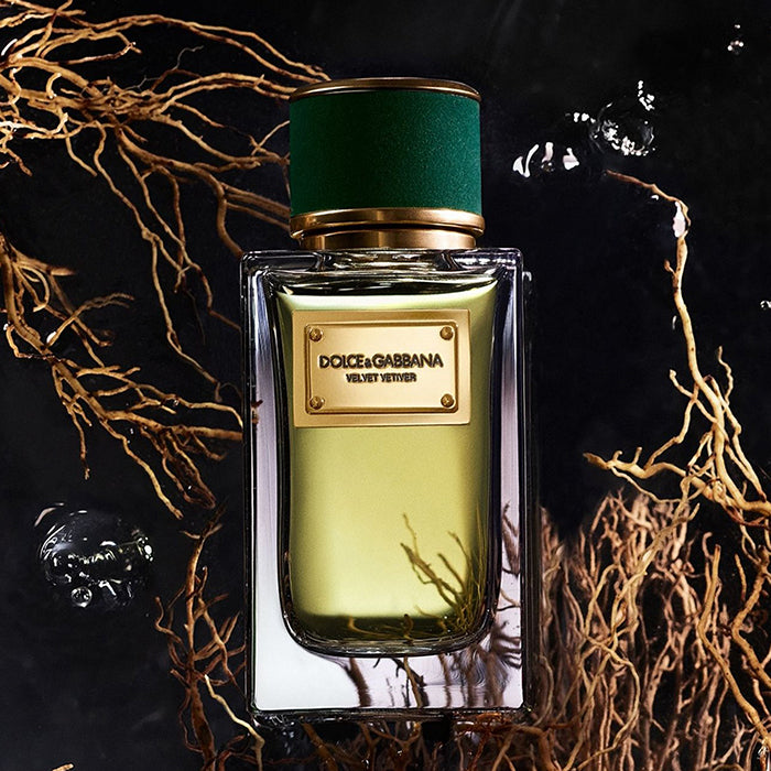 VELVET VETIVER EAU DE PARFUM PERFUME by DOLCE &amp; GABBANA at Sundora