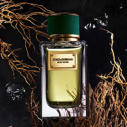 VELVET VETIVER EAU DE PARFUM PERFUME by DOLCE &amp; GABBANA at Sundora