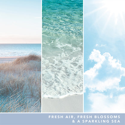 OCEAN AIR SIGNATURE JAR CANDLE by YANKEE CANDLE at Sundora