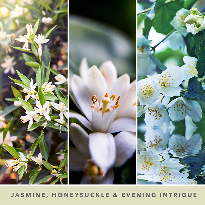 MIDNIGHT JASMINE SIGNATURE JAR CANDLE by YANKEE CANDLE at Sundora