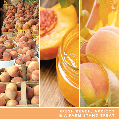 FARM FRESH PEACH SIGNATURE JAR CANDLE by YANKEE CANDLE at Sundora
