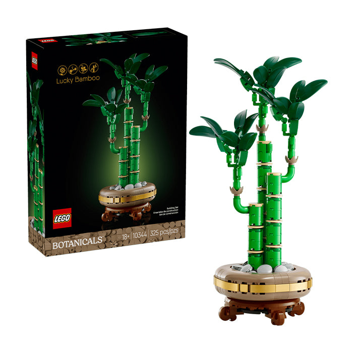 10344 Botanicals Lucky Bamboo